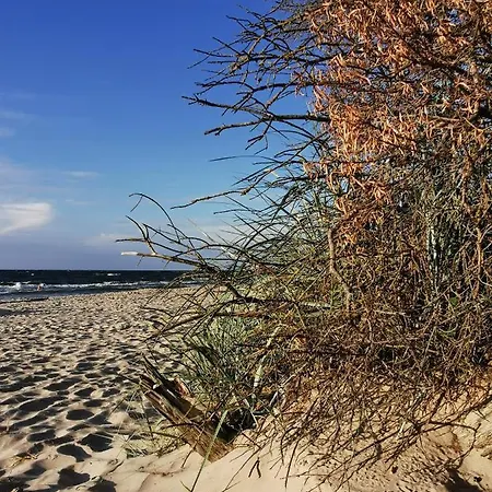 Lounika Апартаменты Warnowo