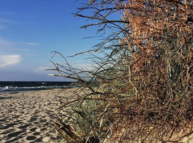 Lounika Apartamento Wronowo